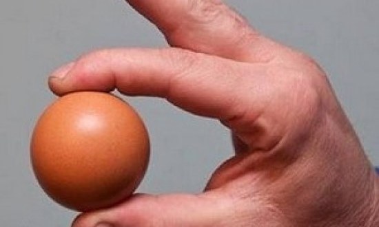 Μια παράξενη αλήθεια που δεν ξέρατε για το αυγό!